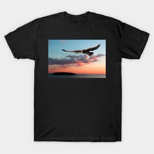 Evening Albatross T-Shirt